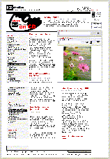 Revista REDcient�fica - N�mero 48