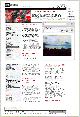 Revista REDcient�fica - N�mero 49